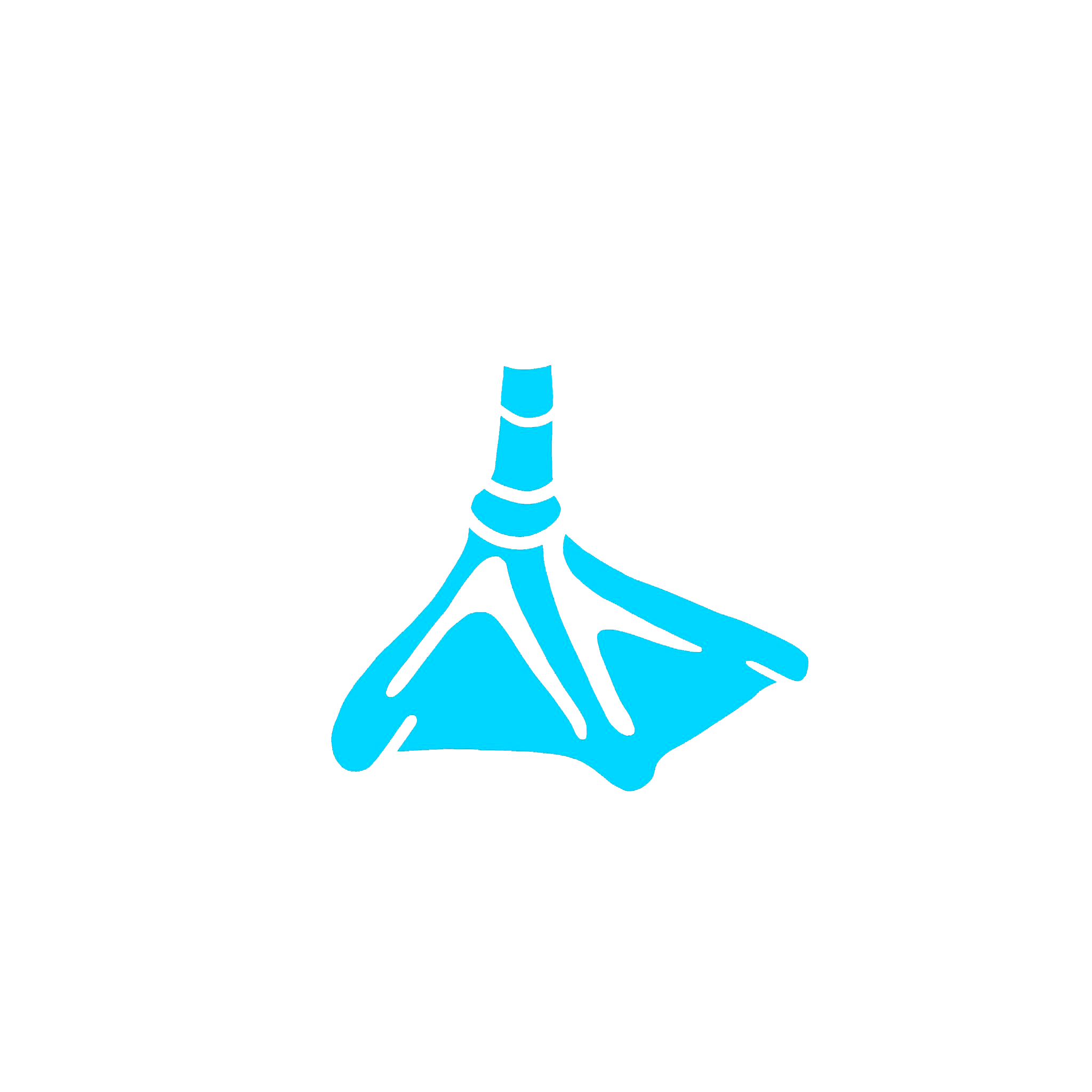 Booby Foot Logo